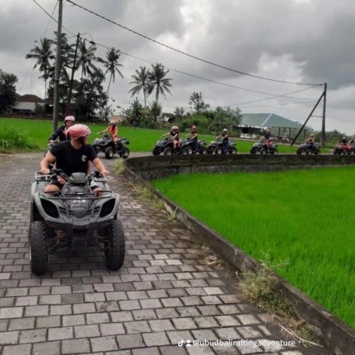 Bali ATv