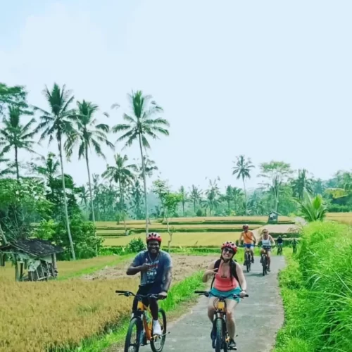 Cycling Ubud